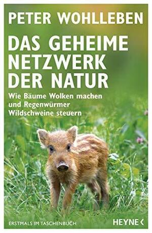 Das geheime Netzwerk der Natur: Wie Bäume Wolken machen und Regenwürmer Wildschweine steuern by Peter Wohlleben