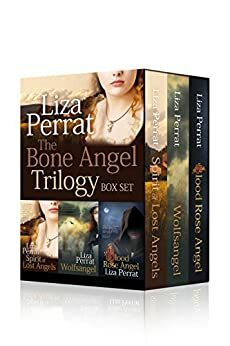 The Bone Angel Trilogy Boxset: French Historical Family Life Drama by Liza Perrat