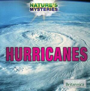 Hurricanes by Kristi Lew