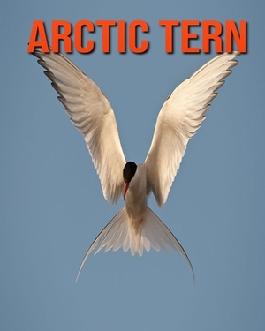 Arctic Tern: Learn About Arctic Tern and Enjoy Colorful Pictures by Diane Jackson