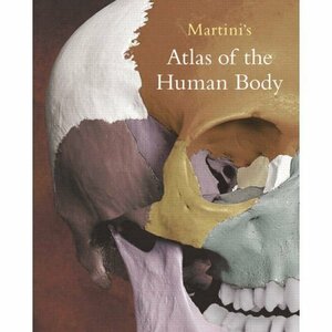 Martini's Atlas Of The Human Body by Frederic H. Martini