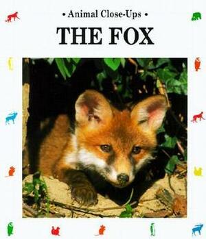 The Fox by Christian Havard, Chirstian Havard