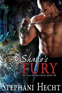 Shane's Fury by Stephani Hecht
