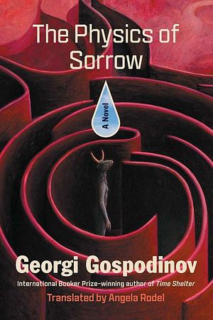 The Physics of Sorrow by Georgi Gospodinov