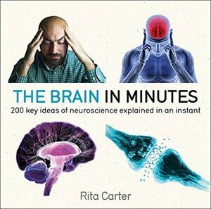 The Brain in Minutes by Rita Carter