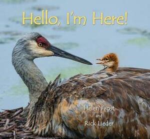 Hello, I'm Here! by Helen Frost, Rick Lieder