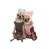 sonoran_hotdog's profile picture