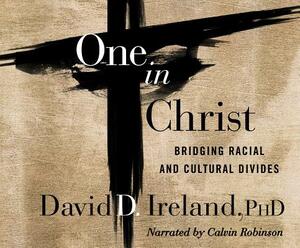 One in Christ: Bridging Racial & Cultural Divides by David D. Ireland