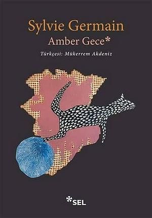 Amber Gece by Sylvie Germain