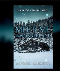 Meet Me In Wonderland  by Angel Anders