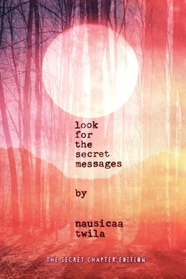 look for the secret messages by Nausicaa Twila