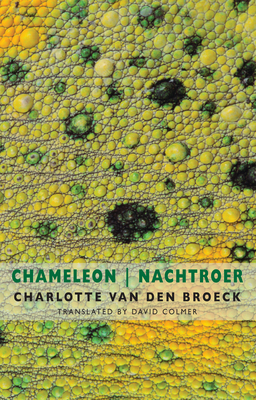 Chameleon / Nachtroer by Charlotte Van Den Broeck