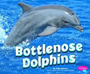 Bottlenose Dolphins by Jody S. Rake