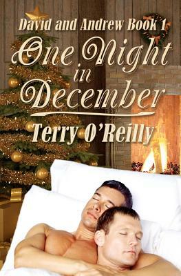 David and Andrew Book 1: One Night in December by Terry O'Reilly
