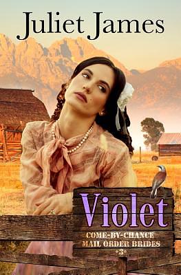 Violet - Book 3 Come By Chance Mail Order Brides: Sweet Montana Western Bride Romance by Juliet James