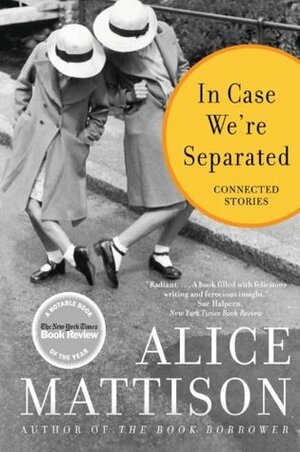 In Case We're Separated: Connected Stories by Alice Mattison