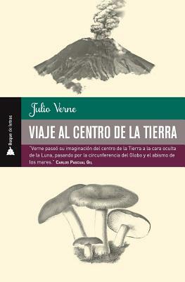 Viaje al centro de la Tierra by Lilia Villanueva, Jules Verne