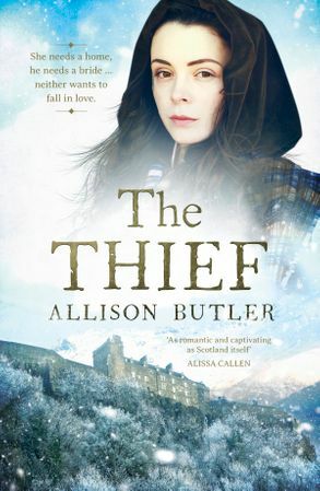 The Thief by Allison Butler