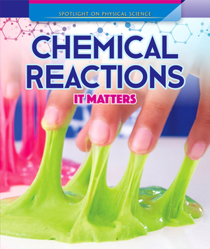 Chemical Reactions: It Matters by Rachael Morlock