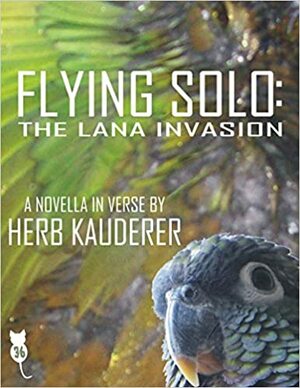 Flying Solo: The Lana Invasion by Herb Kauderer