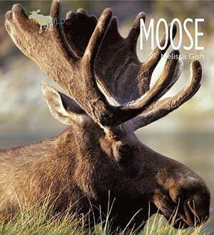 Moose by Melissa Gish