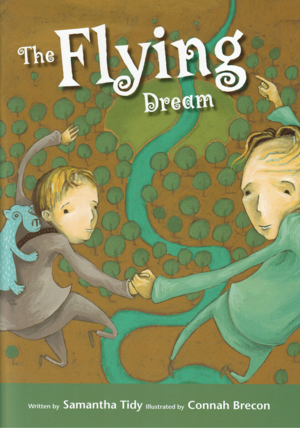 The Flying Dream by Samantha Tidy