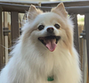 alexhalasz's profile picture