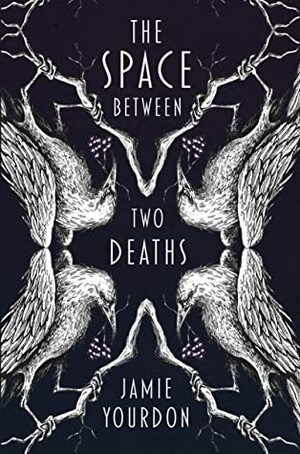 The Space Between Two Deaths by Jamie Yourdon