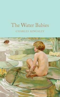 The Water-Babies: A Fairy Tale for a Land-Baby by Charles Kingsley