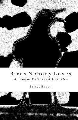 Birds Nobody Loves: A Book of Vultures & Grackles by James Brush
