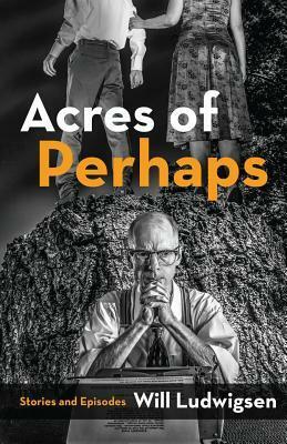 Acres of Perhaps by Will Ludwigsen