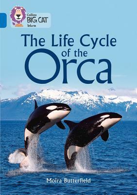 Collins Big Cat - The Life Cycle of the Orca: Band 16/Sapphire by Moira Butterfield