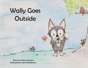 Wally Goes Outside by Andrew Corsaro