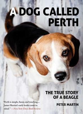 A Dog Called Perth: The True Story of a Beagle by Peter Martin