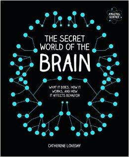 The Secret World of the Brain by Catherine Loveday