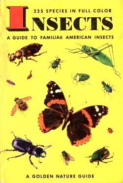 Insects: A Guide to Familiar American Insects by Clarence Cottam, James Gordon Irving, Herbert Spencer Zim