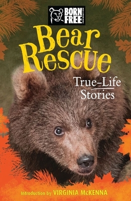 Bear Rescue: True-Life Stories by Jess French, The Born Free Foundation