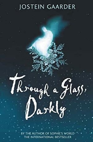 Through a Glass, Darkly by Jostein Gaarder