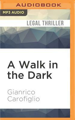 A Walk in the Dark by Gianrico Carofiglio