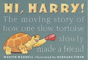 Hi, Harry!: The Moving Story of How One Slow Tortoise Slowly Made a Friend by Martin Waddell