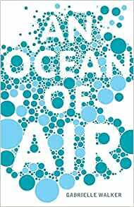 An Ocean Of Air: A Natural History Of The Atmosphere by Gabrielle Walker