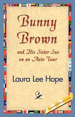 Bunny Brown and His Sister Sue on an Auto Tour by Laura Lee Hope