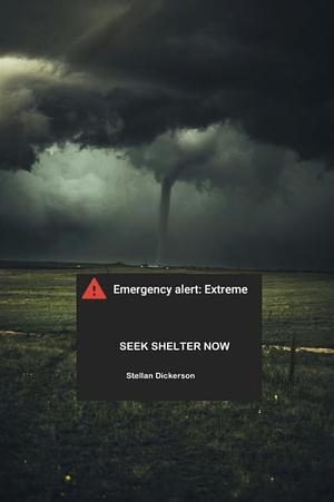 Seek Shelter Now by Stellan Dickerson