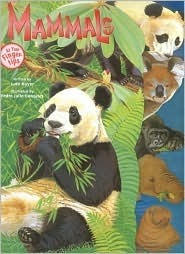 Mammals at Your Fingertips (At Your Fingertips Series) by Judy Nayer