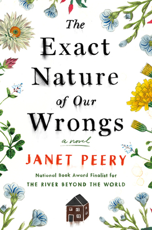 The Exact Nature of Our Wrongs by Janet Peery