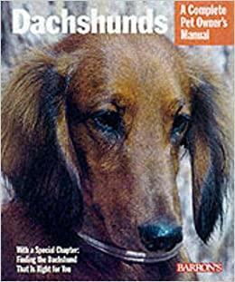 Dachshund by Chris C. Pinney