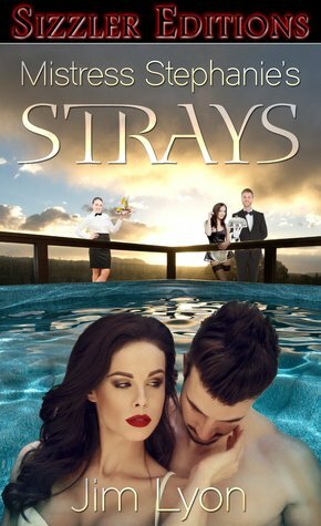 Mistress Stephanie's Strays: A Tale of Polyamorous Domination and Submission by Jim Lyon