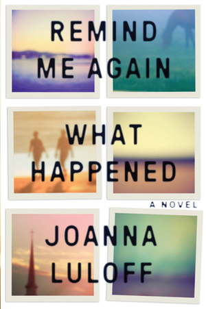 Remind Me Again What Happened by Joanna Luloff