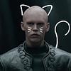 donttelltheelf's profile picture