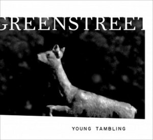 Young Tambling by Kate Greenstreet